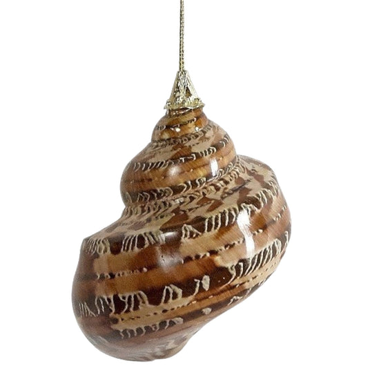 Petholatus Turbo Shell Ornament (HSS)