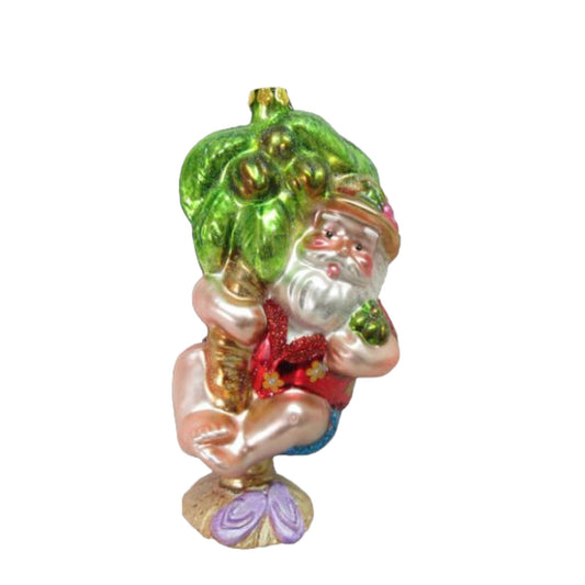 Santa on a Palm Glass Ornament (D2D)