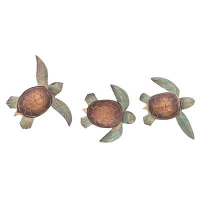 Small Wood Sea Turtle Hatchlings w/ Flippers Alternating (TID1)