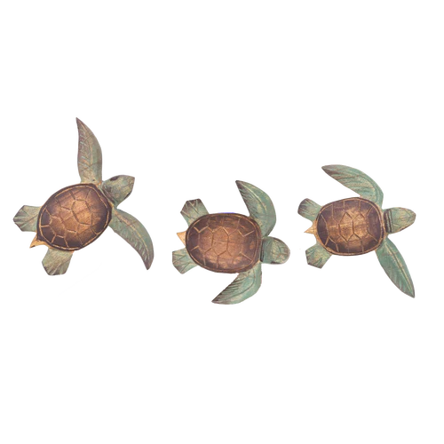 Small Wood Sea Turtle Hatchlings w/ Flippers Back (TID1)