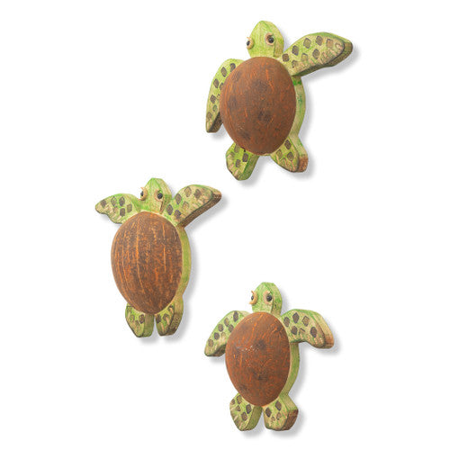 Rustic Coconut Shell Turtle (TID1)