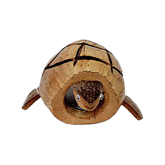 Turtle in Coconut Shell (B2CS)